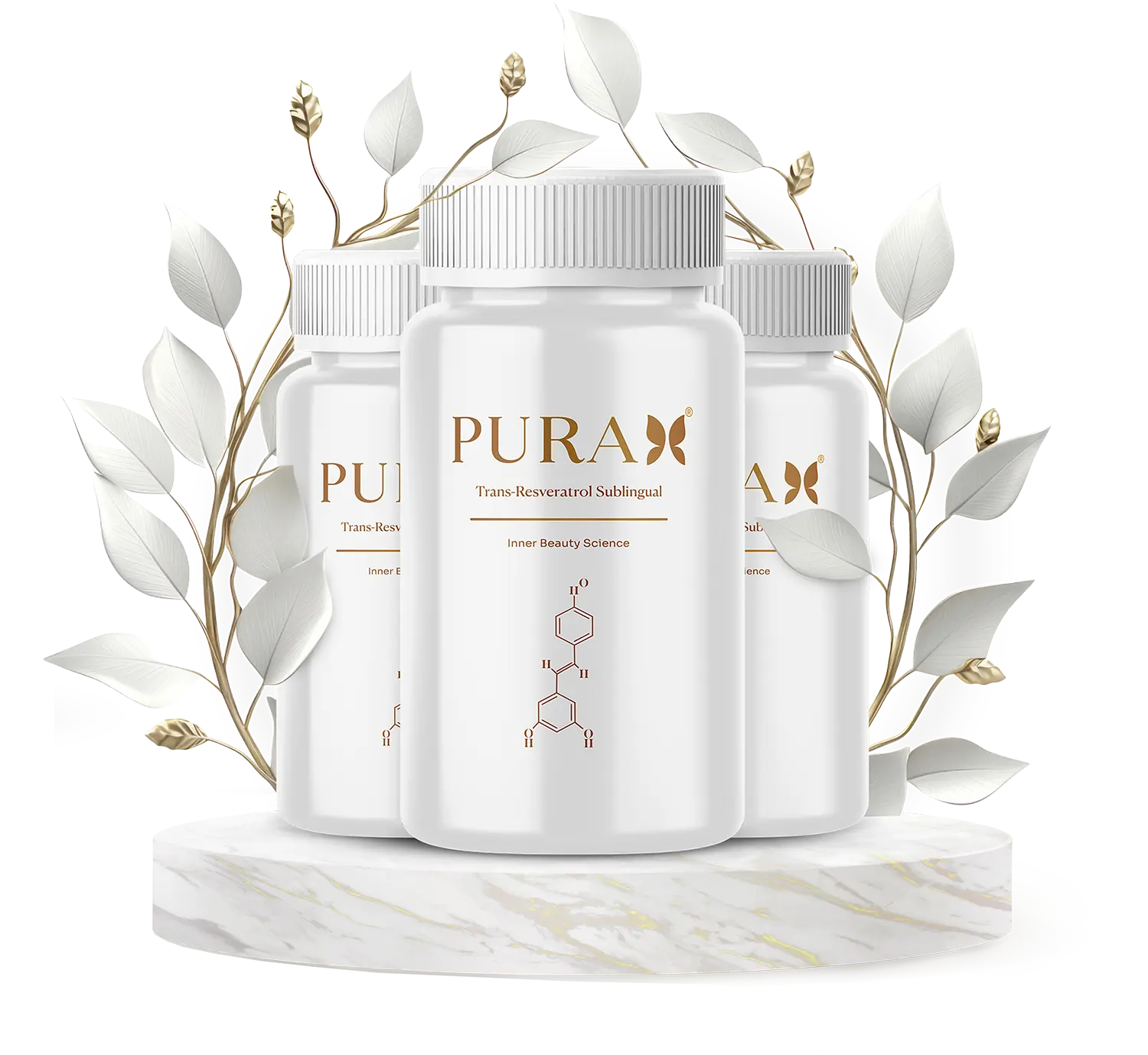 AnyConv.com__hero-celan-purah.webp